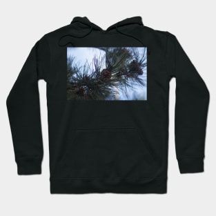 Pine cone and winter Hoodie